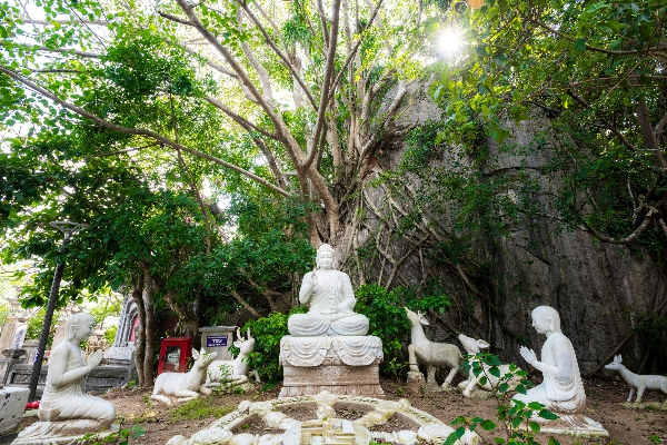 Authentic Hoi An & Hue Tour - 6 Days - photo 75